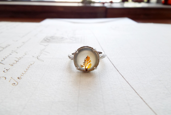 デンドリティック アゲート シルバー 12号  指輪 リング インクルージョン デンドリティック アゲート シルバー 12号 指輪 リング