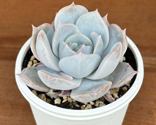 dc5f0b92658f34417714573b66cac1