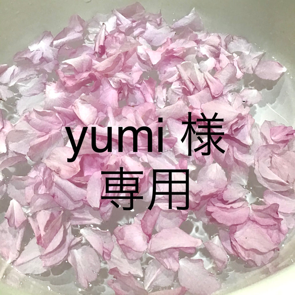 yumi様専用 1枚目の画像