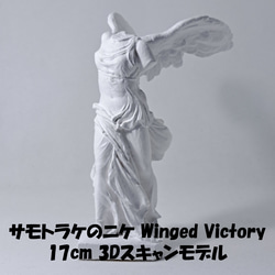 ミロのヴィーナス(高さ20cm) 石膏像 デッサン ホワイト インテリア