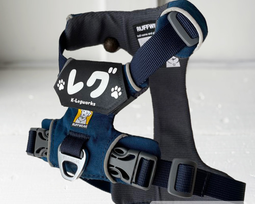 あきいぬさん専用【美品・ネイビーXS】  ブラックラベル ◇注目! ジョニーウォーカー 12年 ブラックラベル シェリー