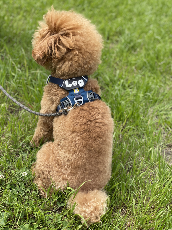 【ラフウェア　ネームタグ】　オリジナル　ラベル　ネーム　名前　名札　犬　フロントレンジハーネス 2枚目の画像