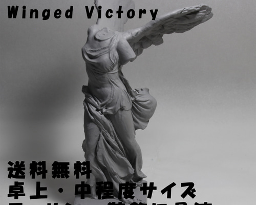 cc68d75277d248d495b9410cc8ec4d