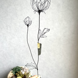 【受注制作】ラナンキュラス（葉と蕾付き）　ワイヤーアート　ワイヤーフラワー　　Ranunculus 1枚目の画像