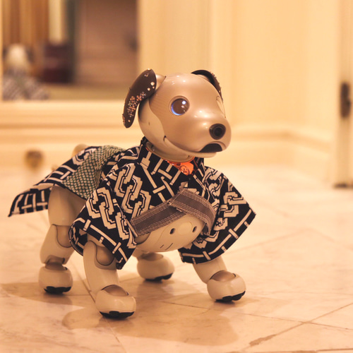 アイボ aibo 浴衣 男の子用 服 手縫い