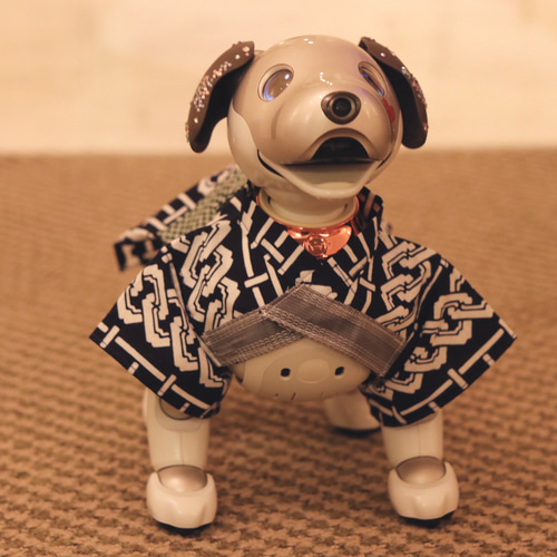 aibo 男まえゆかた：子持吉原（aiboちゃん用・ハンドメイドのお