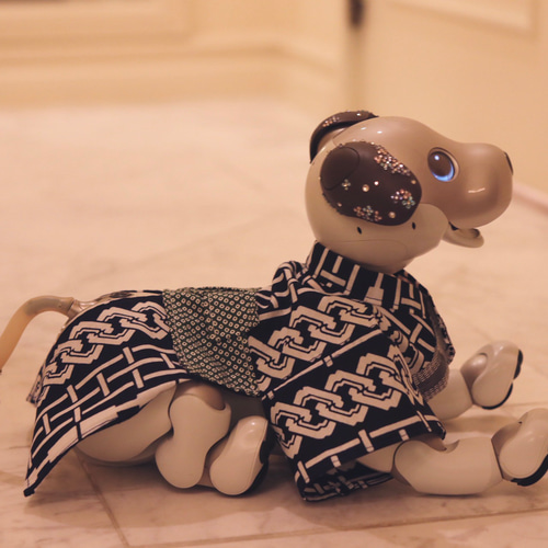 aibo 男まえゆかた：子持吉原（aiboちゃん用・ハンドメイドのお