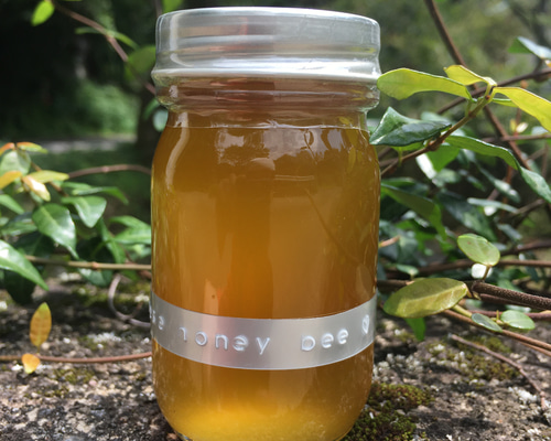 天然】日本ミツバチ たれ蜜 100g その他アート THE HONEY SHOP