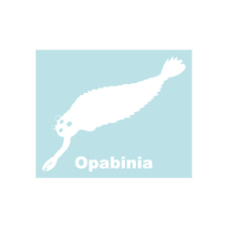 古生物學貼紙 Opabinia 第2張的照片