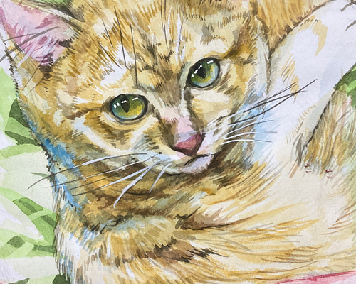 送料無料「ひるがおと仔猫」透明水彩原画A4サイズ額装なしレターパック