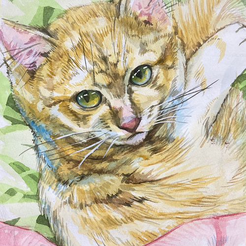送料無料「ひるがおと仔猫」透明水彩原画A4サイズ額装なしレターパック