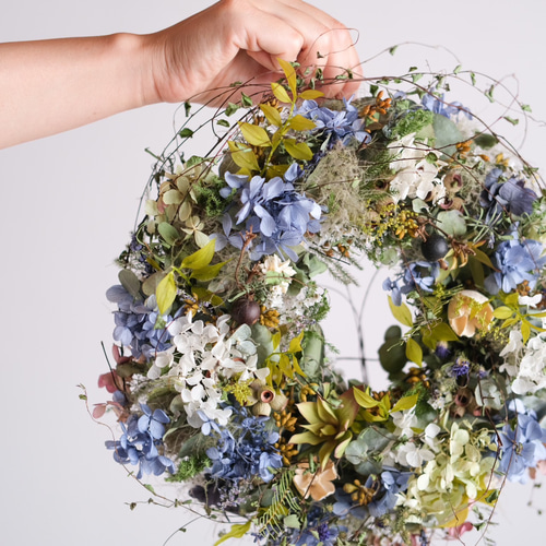 2way紫陽花とスモークツリーの夏のフライングリース＊ドライフラワー