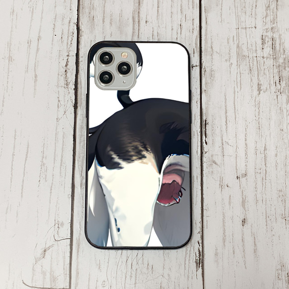 iphoneケース2-1-15 iphone 強化ガラス 犬・いぬ・ワンちゃん 箱9 かわいい アイフォン iface 1枚目の画像