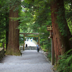 健康長寿のお守り（神宮杉）緑の糸で結ばれた幸せの鈴 2枚目の画像