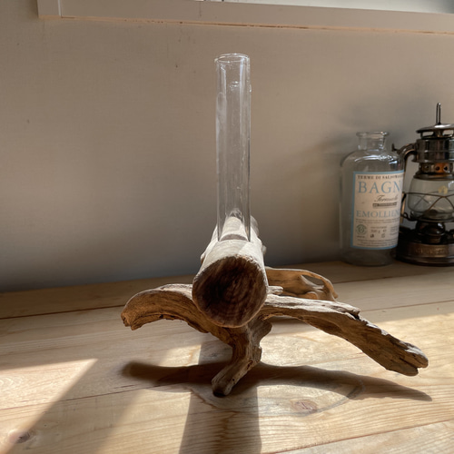 流木の一輪挿し ③ 一輪挿し・花瓶・花器 Drift Things 通販 16181921