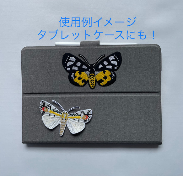 【ワッペン】Moth（蛾）シリーズ　タナバタユカタヤガ 3枚目の画像