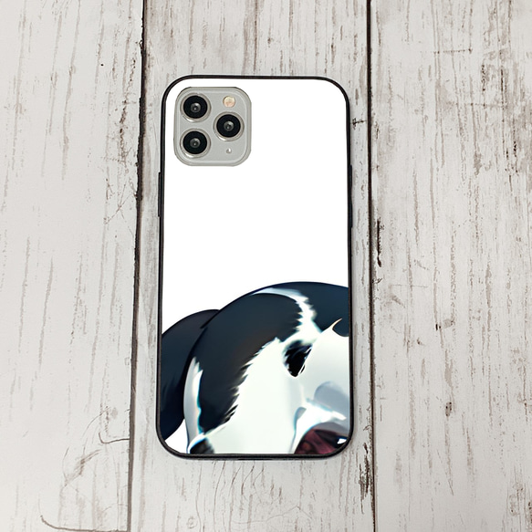 iphoneケース2-5-31 iphone 強化ガラス 犬・いぬ・ワンちゃん 箱9 かわいい アイフォン iface 1枚目の画像