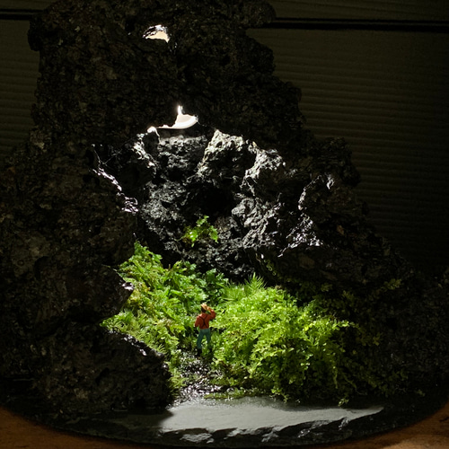193 苔アート 洞窟 苔 苔テラリウム 観葉植物 オブジェ 寄せ植え