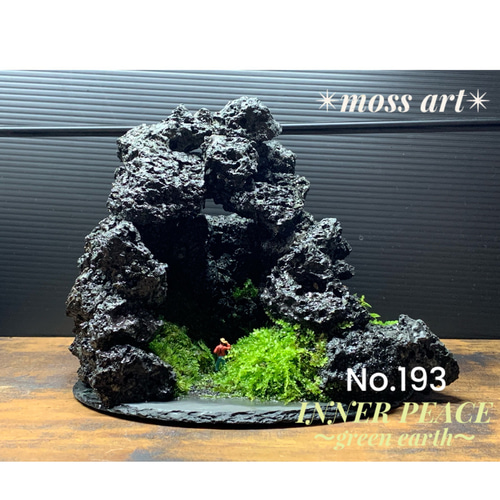 193 苔アート 洞窟 苔 苔テラリウム 観葉植物 オブジェ 寄せ植え