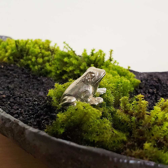 【錫製（すず）ミニチュア蛙（カエル）】かえる 置物 置き物 インテリア 枯山水 苔テラリウム 苔盆栽 かれさんすい 8枚目の画像