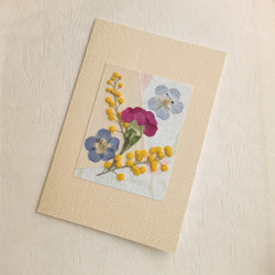 ✿ネモフィラ　カーネーション　ミモザ　押し花　メッセージカード　ギフト　誕生日　母の日　 2枚目の画像