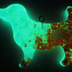 ◇3672 ✨蓄光・オレンジのかき氷　ダックスのロングペンダント ※長さ調節可能【金属アレルギー対応デザイン】 5枚目の画像