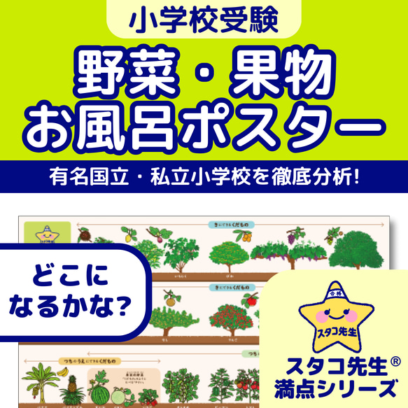 小学校受験 お風呂ポスター 野菜 果物 理科的常識 おもちゃ・人形