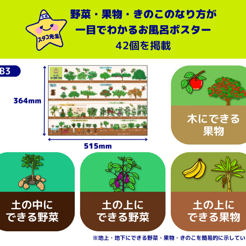 小学校受験 お風呂ポスター 野菜 果物 理科的常識 おもちゃ・人形
