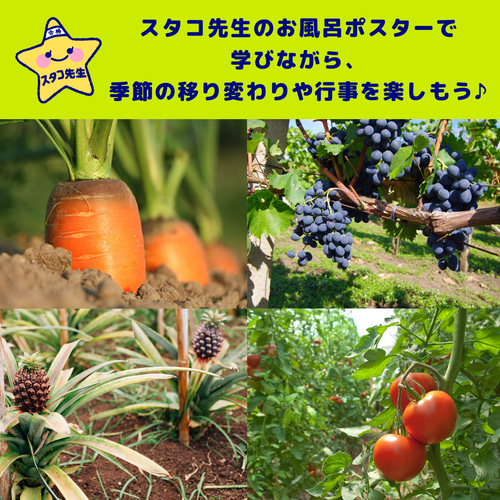 小学校受験 お風呂ポスター 野菜 果物 理科的常識 おもちゃ・人形