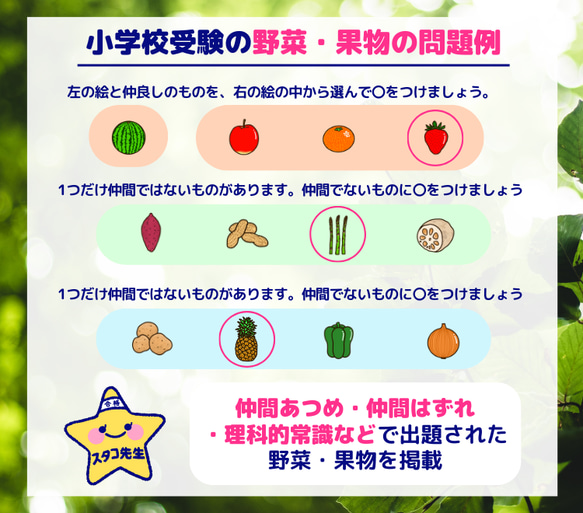 小学校受験　お風呂ポスター　野菜　果物　理科的常識 6枚目の画像