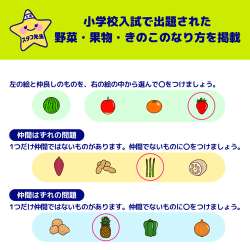 小学校受験 カード お風呂ポスター 季節 動物 野菜 果物 理科的常識 Amazon.co.jp: 小学校受験 お風呂ポスター カード 季節 野菜 果物 理科