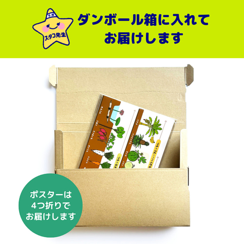 小学校受験 お風呂ポスター 野菜 果物 理科的常識 おもちゃ・人形