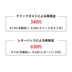 再発送による支払い専用 2枚目の画像