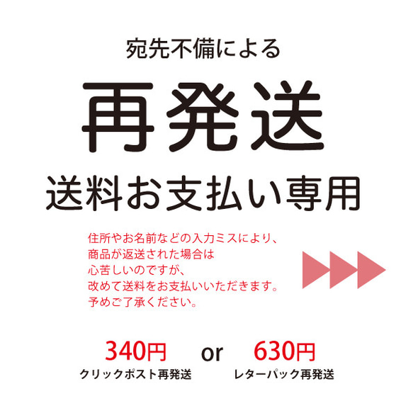 再発送による支払い専用 1枚目の画像