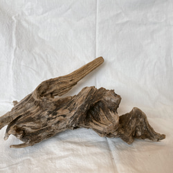 インテリア 流木 オブジェ 置物 エアプランツ その他インテリア雑貨