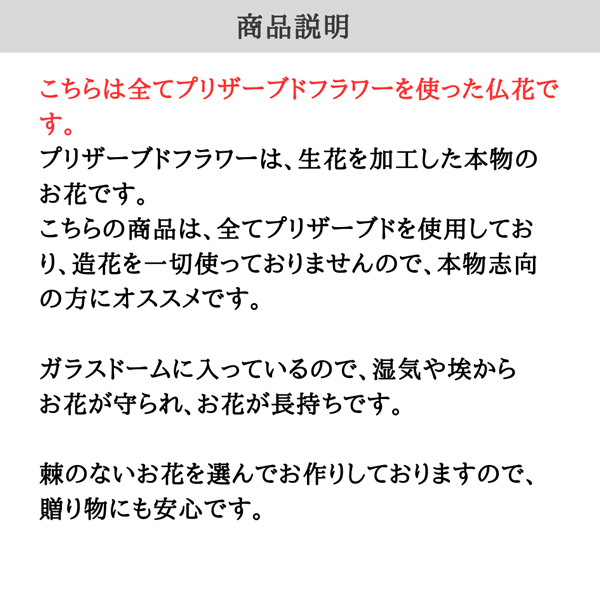 【仏花】　カーネーションとデンファレのガラスドーム入り仏花（白）　全てプリザーブドフラワーを使用しています。
