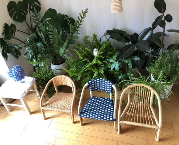 ベビー・キッズビストロチェア Sora 　Momo Rattan original　新商品 9枚目の画像