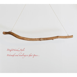 流木インテリア 緩やかな曲線を描く大型流木のハンガーラック 北欧 衣装掛け ハンギング 吊り下げ ハンガーポール 癒し 7枚目の画像
