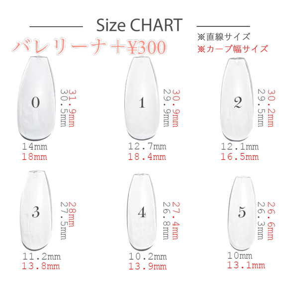 計測用チップ　10本セット 6枚目の画像