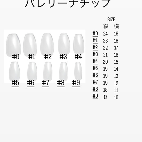 ネイルチップ 押し花 しずくネイル #01 ネイルチップ（つけ爪） hana