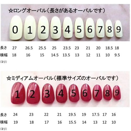 ネイルチップ 押し花 しずくネイル #01 ネイルチップ（つけ爪） hana