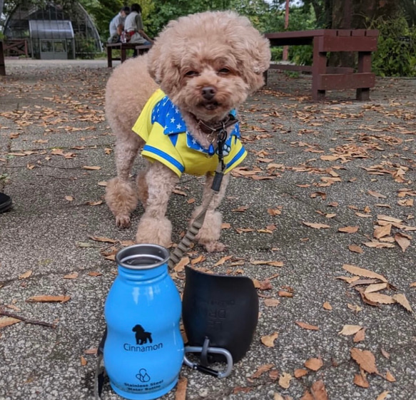 在庫限り！蓋が受け皿になるうちの子だけの給水器 14枚目の画像