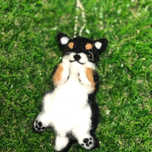 羊毛フェルト お昼寝柴犬 可愛いへそ天スタイル 羊毛フェルト petit