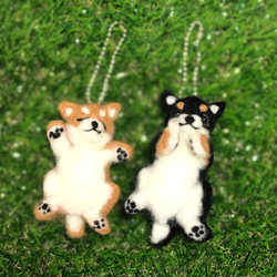 羊毛フェルト お昼寝柴犬 可愛いへそ天スタイル 羊毛フェルト petit