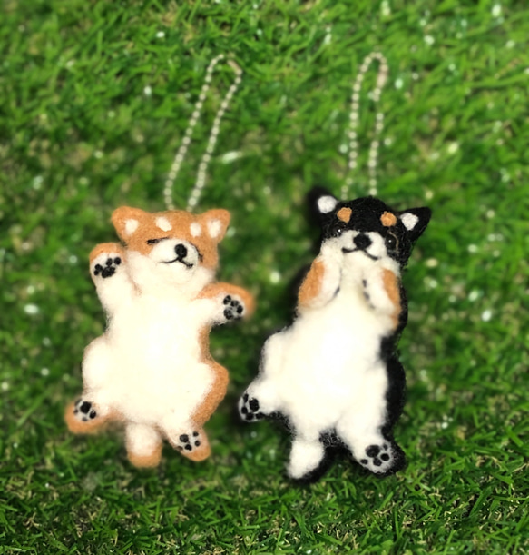羊毛フェルト お昼寝柴犬 可愛いへそ天スタイル 羊毛フェルト petit