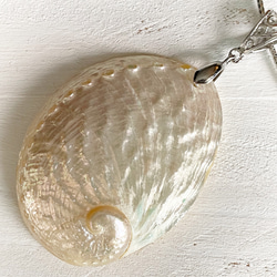 フィボナッチ天然貝　ペンダント　ネックレス 1枚目の画像