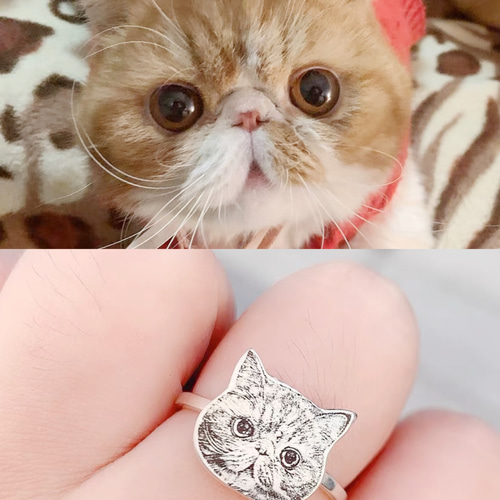 銀製 世界に一つだけの指輪.リングNo：02 愛犬・愛猫ペット
