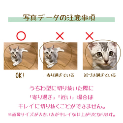 【期間限定 】うちの子オリジナルうちわ ペット 写真入り 名入れ 犬 猫 ハムスター うさぎ うちの子 うちわ 3枚目の画像