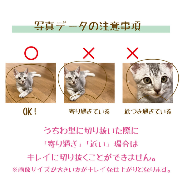 【期間限定 】うちの子オリジナルうちわ ペット 写真入り 名入れ 犬 猫 ハムスター うさぎ うちの子 うちわ 3枚目の画像