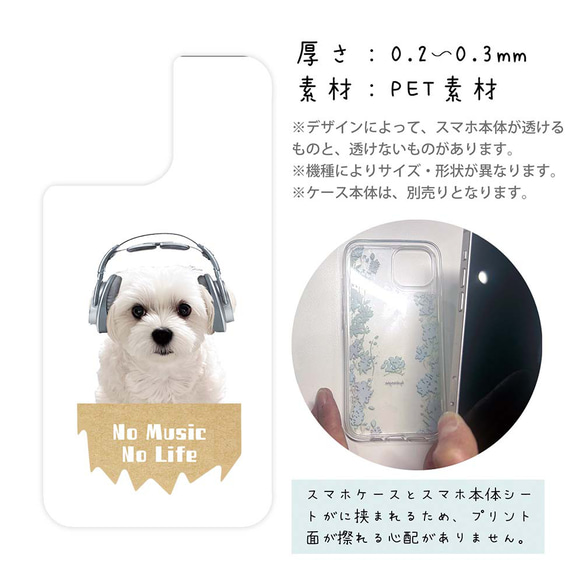 Google Pixel8a/iPhone15/iPhone15 Pro/マルチーズ＆チワワだって 犬 3枚目の画像